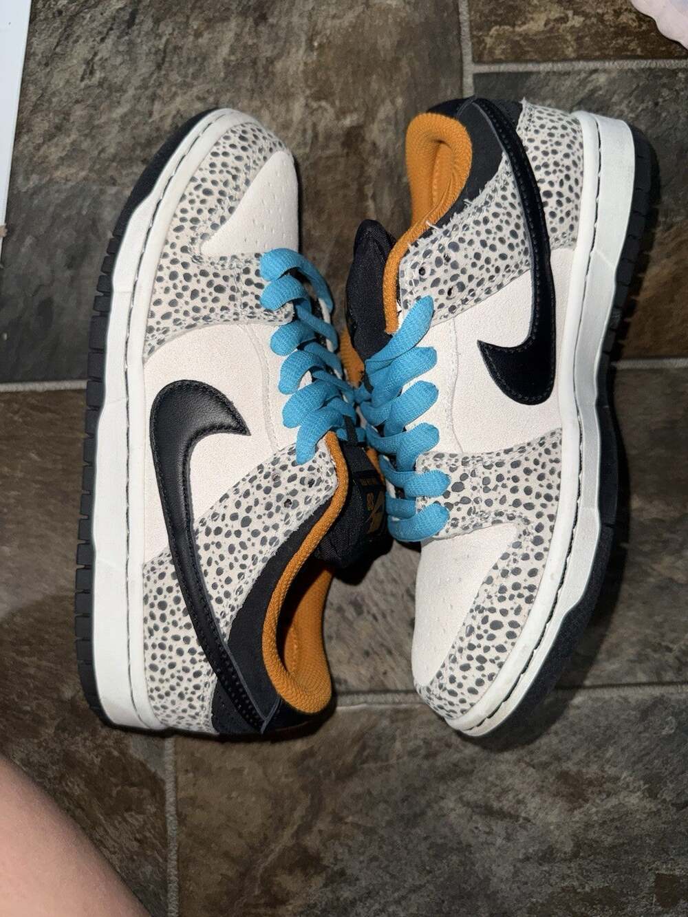 Size 4.5 Nike Dunk Pro SB Low Electric Pack safari LEP